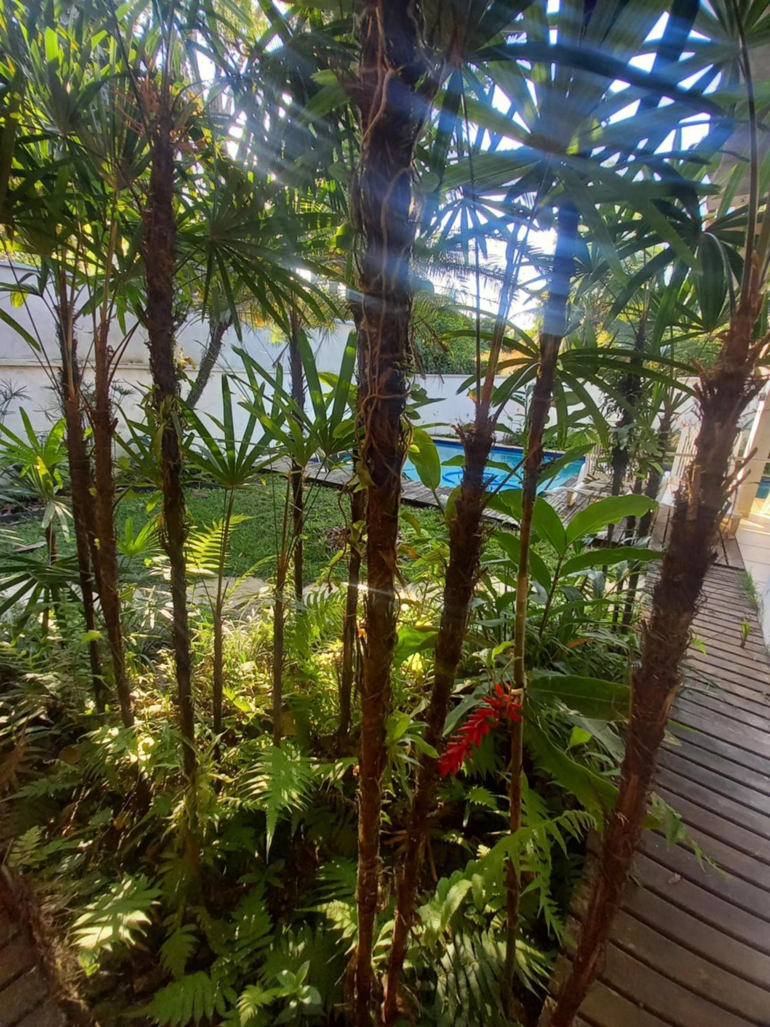 Suite No Condominio Itamambuca - Muito Perto Da Praia !!! Ubatuba Quarto foto
